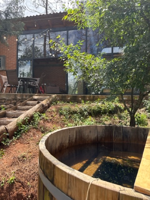 DJI_20250723_135306_888 en tamaño mediano